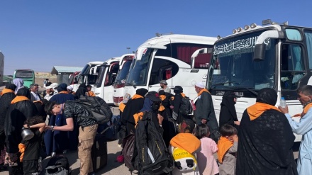 Mukiba zîyaretkerên tirkîyeyî ser rêya Kerbelayê 
