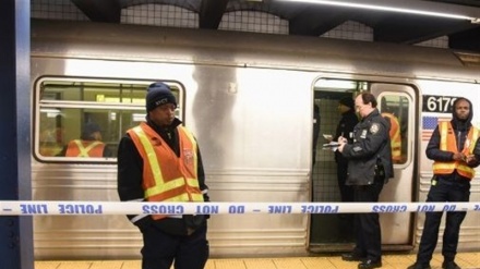 Xwekujiya di nava nûciwanên amerîkî salê sedî 8 zêde bûye