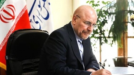 Qalîbaf: Armanca Rejîma Siyonîst ramalîna etnîkî ya li Xezzê ye