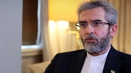 Əli Baqiri: Əgər İsrail dayandırılmasa, region və dünya təhlükə altında olacaq