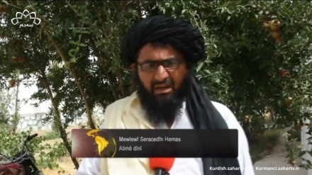 Qendehar  - Bertekên himberî terorkirina şehîd Henîye 