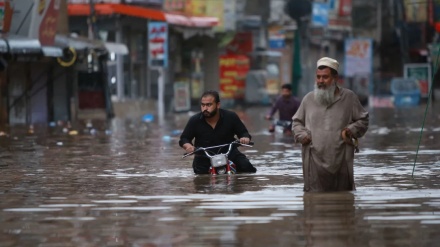 پاکستان: صوبے بلوچستان میں موسلادھار بارشوں نے تباہی مچادی