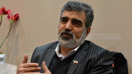 پر امن ایٹمی ٹیکنالوجی ایران کا مسلمہ حق؛ محکمہ ایٹمی توانائی کے ترجمان