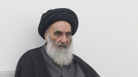 اسلامی ممالک غزہ میں عظیم انسانی آفت کو جاری رکھنے کی اجازت نہ دیں؛ آیت اللہ العظمی سیستانی کا پیغام