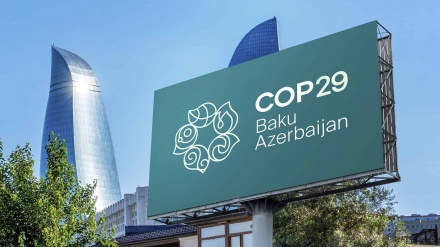 Tanınmış politoloq Bakıda COP29-un keçirilməsini tənqid etdi