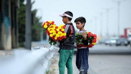 مدیرکل امور اتباع و مهاجرین خارجی تهران: ۱۵۸۰ کودک کار اتباع به‌ همراه خانواده از تهران ردمرز شده اند