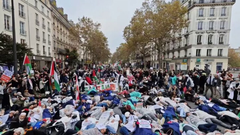 DEMONSTRACIJE PODRŠKE PALESTINI I POJASU GAZE U GLAVNOM GRADU FRANCUSKE