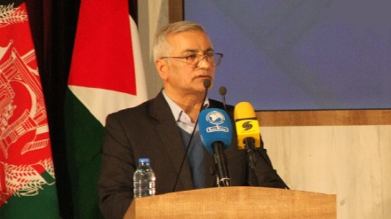 صدور ویزای بلند مدت برای نخبگان مهاجر افغانستانی