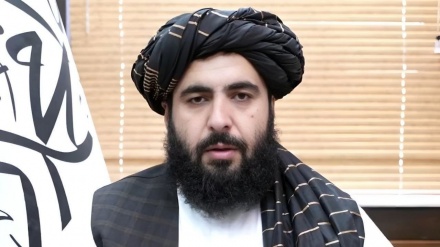 واکنش طالبان به تمدید تحریم های افغانستان