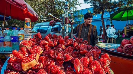 صادرات ۳۳ میلیون دالری انار افغانستان