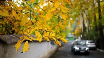 Payîzeke xweş li Tehranê