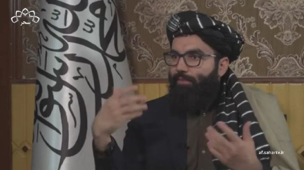 اظهارات انس حقانی درمورد ترور وزیر مهاجران 