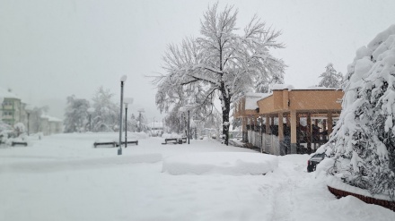 POLOMLJENI STUBOVI EP BIH, BROJNA PODRUČJA BEZ STRUJE