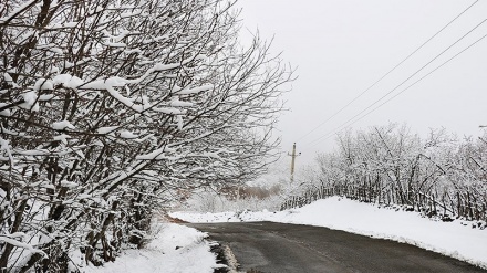 Barîna berfê Li Eşkevera Gîlanê