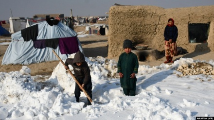 بیش از ۳۲۵ هزار افغان تحت تاثیر موج سرمای اخیر قرار گرفت