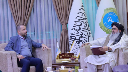 کابل کې د ترکیې سفیر سره د روغتیا وزیر لیدنه 