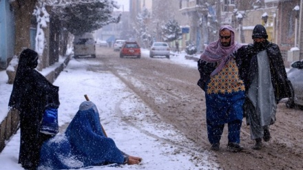 فقر گسترده و هشدار نهادهای بین المللی در آستانه زمستان