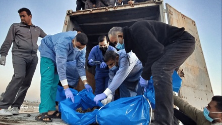 ورود کمک ها و جستجو برای یافتن پیکر شهدا در نوار غزه