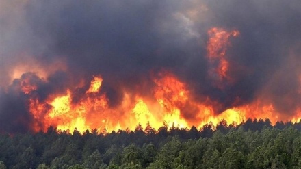 NOVI VAL POŽARA U LOS ANĐELESU