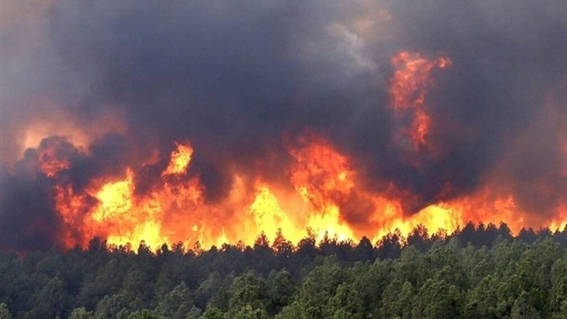 NOVI VAL POŽARA U LOS ANĐELESU