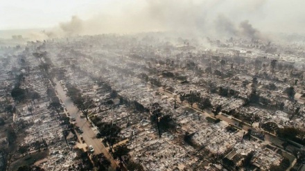 Loss Angeles, bajarê şewitî