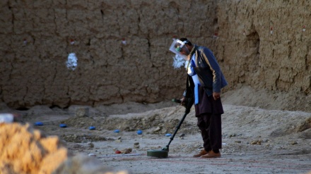افزایش تلفات ناشی از ماین‌ها و مهمات منفجر نشده در افغانستان