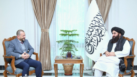 طالبان خواهان افزایش سطح روابط دیپلماتیک با ترکیه شدند