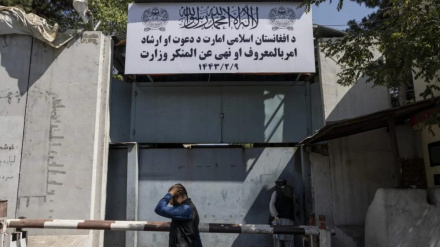 د نړیوالې ټولنې دریځ ته د سرپرست حکومت غبرګون 