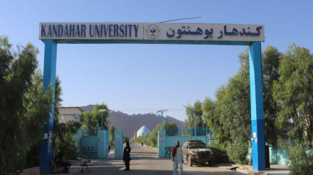 د کندهار په پوهنتون کې د ملا هیبت الله وینا