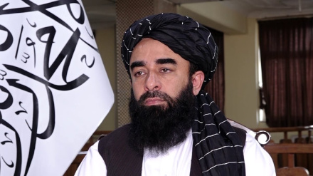 د ویانا غونډې ته د سرپرست حکومت غبرګون 