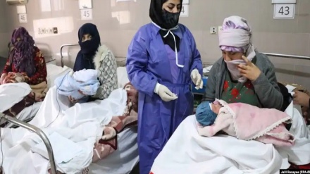 واکنش حکومت سرپرست به گزارش سازمان جهانی صحت  