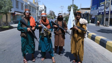 د بښنې فرمان ته د سرپرست حکومت ژمنتیا