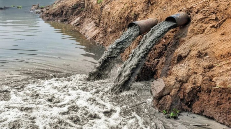 Azərbaycan hər gün dənizə 300 ton neft axıdır