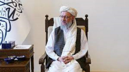 د خصوصي سکټور ودې لپاره د حنفي ژمنه 