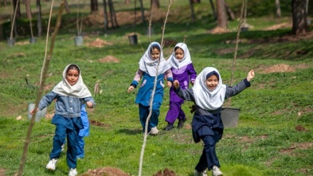 چاندنی ٢٠ هەزار نەمام لە کرماشان