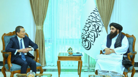 امیرخان متقي سره د جاپان سفیر ناسته 
