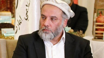 د افغانستان د تازه میوو ۲۹۶زره ټنه صادرات 