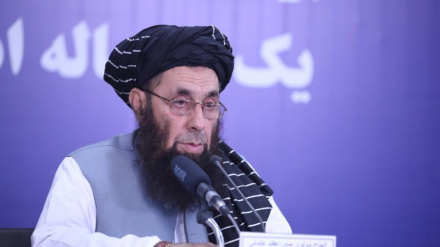 اووه میلیونه ټن غنمو ته د افغانستان اړتیا 
