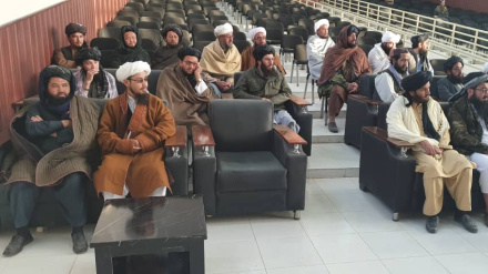 ننګرهار کې د کلدارو د مخنیوي کمپاین 
