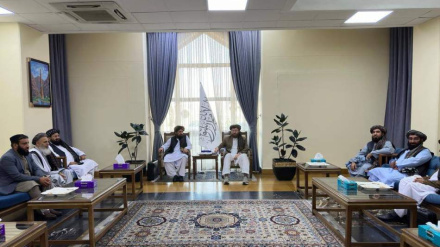 د کرنې په برخه کې د افغانستان او ازبکستان همکاري