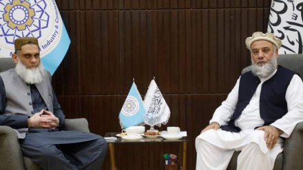 د سوداګرۍ په اړه د کابل او اسلام اباد خبرې