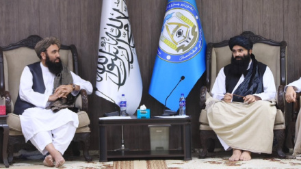 کورنیو چارو وزارت کې د حقانی شتون