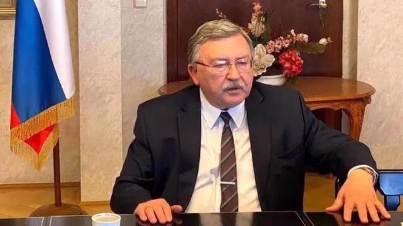 اولیانوف: امریکا اور یورپی ٹرائیکا نے ایران کے ایٹمی پروگرام کو سیاسی بنادیا ہے