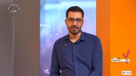 ئاشنایی لەگەڵ لاوی هەڵکەوتە 