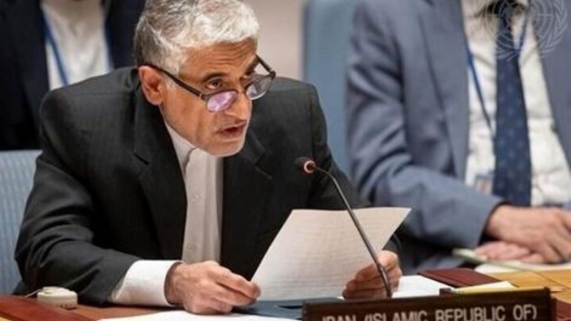 İrəvani: Agentliyin müstəqil yanaşması mübahisələrin həllinə səbəb olacaq