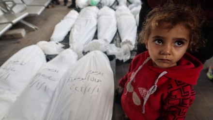 ZA MANJE OD 24 SATA UBIJEN JE 31 PALESTINAC