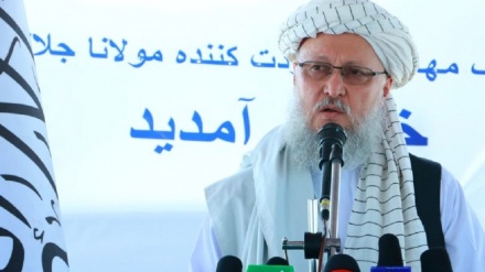 له نړیوالې ټولنې د حنفي غوښتنه