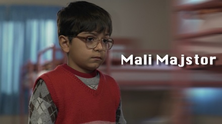 Mali majstor