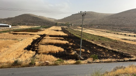 Siyonîst dixebitin bajarokê El-Muqeyirê dagîr bikin