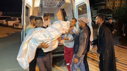 غزہ کے شہداء کی تعداد 53500 سے تجاوز کرگئی